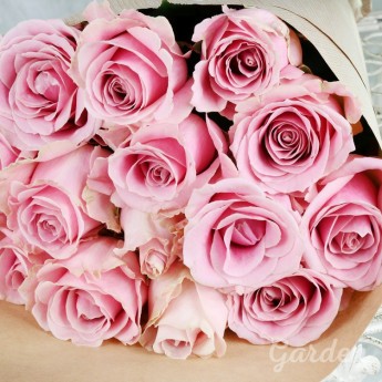 15 светло-розовых роз в крафте